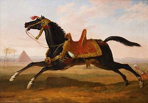 HORACE VERNET (8)